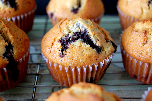 blueberry muffin images